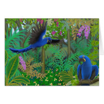 Hyacinth Macaw Jungle cards