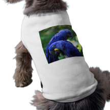 Hyacinth Macaws Dog Clothes