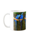 Hyacinth Macaws Coffee Mugs