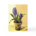 Hyacinth Pot cards by tempranera Hyacinth Pot cards