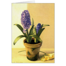 Hyacinth Pot Cards