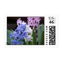 Hyacinth Stamp