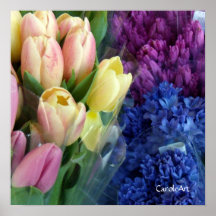 Hyacinth Tulips Posters