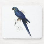 Hyacinthine Maccaw by Edward Lear Mousepad
