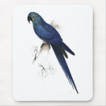 Hyacinthine Maccaw by Edward Lear Mouse Mat