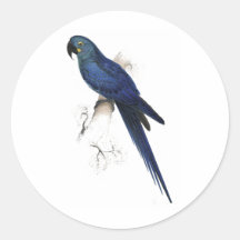 Hyacinthine Maccaw by Edward Lear Sticker