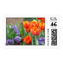Hyacinths and Orange/Yellow Tulips postage by titanic Hyacinths and Orange/Yellow Tulips postage
