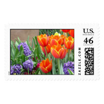 Hyacinths and Orange/Yellow Tulips postage