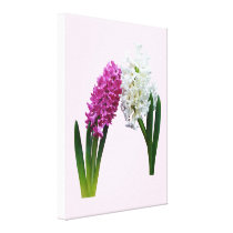 Hyacinths In Love canvas prints