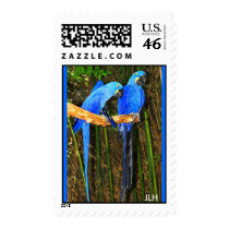 Hyacinths, JLH Postage Stamp