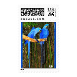Hyacinths, JLH postage