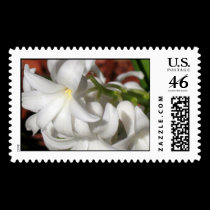 Hyancinth stamps