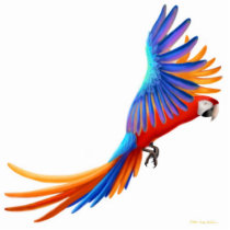 Hybrid Catalina Macaw Holiday Ornament photo sculptures by twopurringcats Hybrid Catalina Macaw Holiday Ornament photo sculptures
