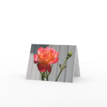 Hybrid English Tea Rose Card