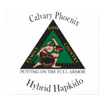 Hybrid Hapkido Club Poster posters by mperez01 Hybrid Hapkido Club Poster posters