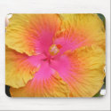 Hybrid Hibiscus Mousepad by craftycorner Hybrid Hibiscus Mousepad