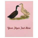 Hybrid Laying Duck flyers