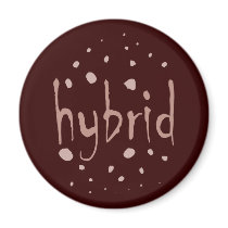 Hybrid Refrigerator Magnets