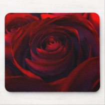 rose, flower, red, red rose, desktop wallpaper, Musemåtte med brugerdefineret grafisk design