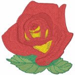 Hybrid Tea- Forty Niner Rose