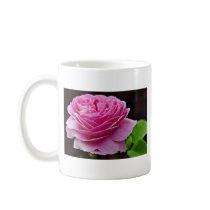 Hybrid Tea Rose 'Heirloom' White flowers Mug