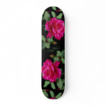 Hybrid Tea Rose 'Pink Peace' Roses Skate Deck