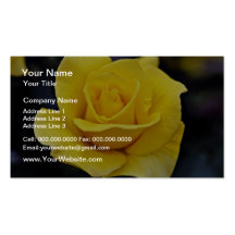 Hybrid Tea Rose White flowers Business Card Templates