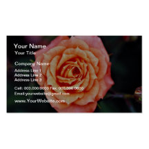 Hybrid Tea Rose White flowers Business Card Template