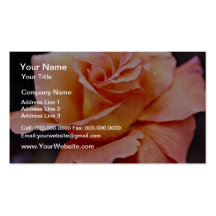 Hybrid Tea Rose White flowers Business Card Template