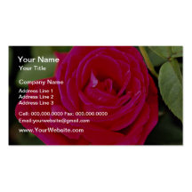 Hybrid Tea Rose White flowers Business Card Template