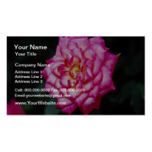Hybrid Tea Rose Yellow flowers Business Card Templates