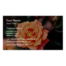 Hybrid Tea Rose Yellow flowers Business Card