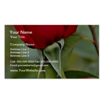 Hybrid Tea Rose Yellow flowers Business Card Template