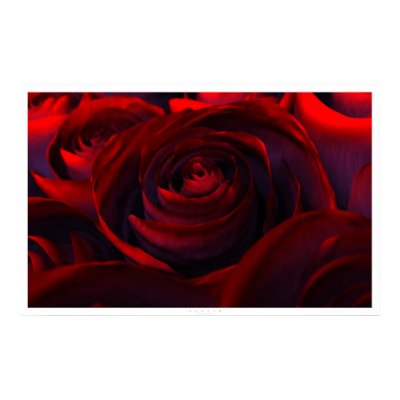 Hybrid (wide) print by digitalblasphemy
