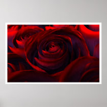 hybrid, rose, roses, digital, flowers, Poster with custom graphic design