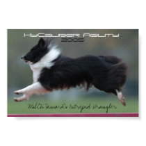 HyCaliber Agility 2005 posters