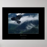 Hyder Raven Wildlife Art Nature Poster