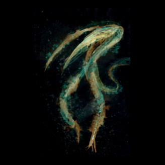 Hydia Print