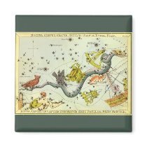 Hydra Constellation magnets by YesterdayCafe Hydra Constellation magnets