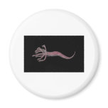 Hydra Pink Refrigerator Magnet