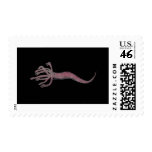 Hydra Pink Stamp