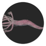 Hydra Pink Round Stickers
