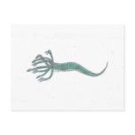 Hydra
