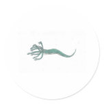 Hydra
