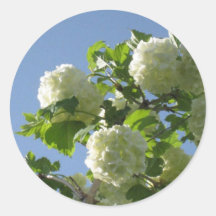 Hydrangea2 Stickers