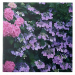 Hydrangea 3 tile