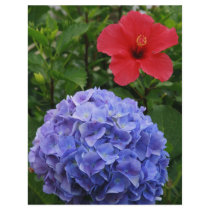 Hydrangea and Hibiscus Personalized Flyer