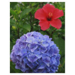 Hydrangea and Hibiscus Personalized Flyer