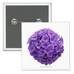 Hydrangea Ball Close-up Buttons