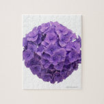 Hydrangea Ball Close-up Puzzles